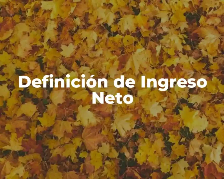 Definición de Ingreso Neto