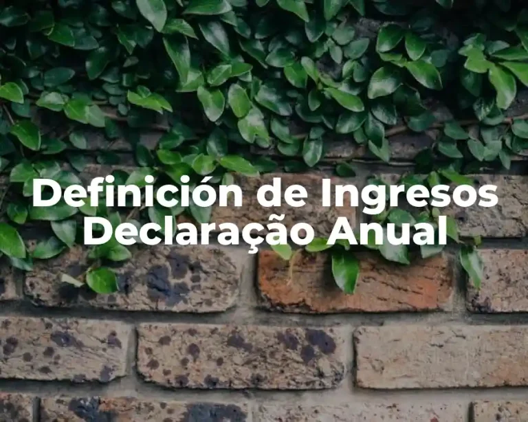 Definición de Ingresos Declaração Anual