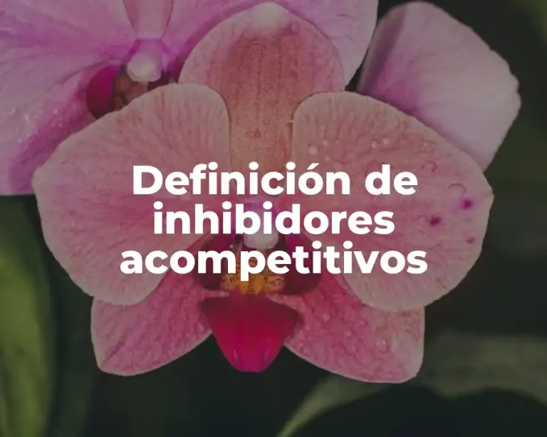 Definición de inhibidores acompetitivos