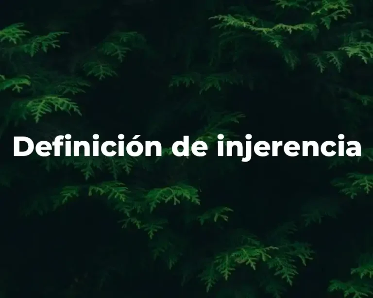 Definición de injerencia