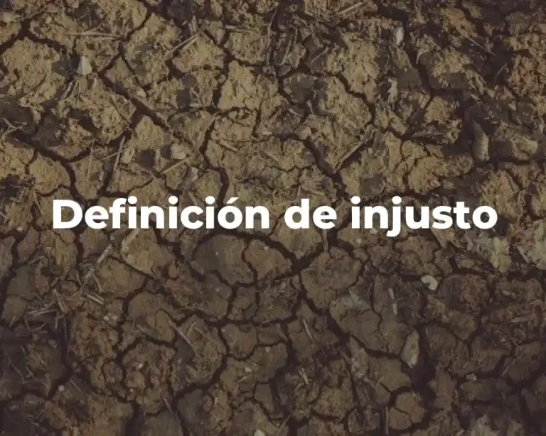 Definición de injusto