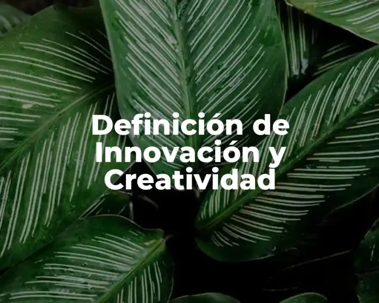 Definición de Innovación y Creatividad