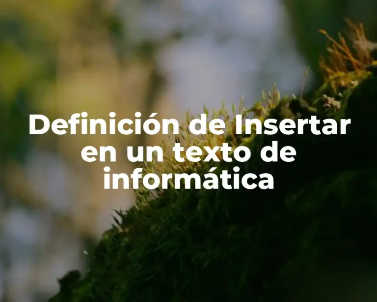 Definición de Insertar en un texto de informática