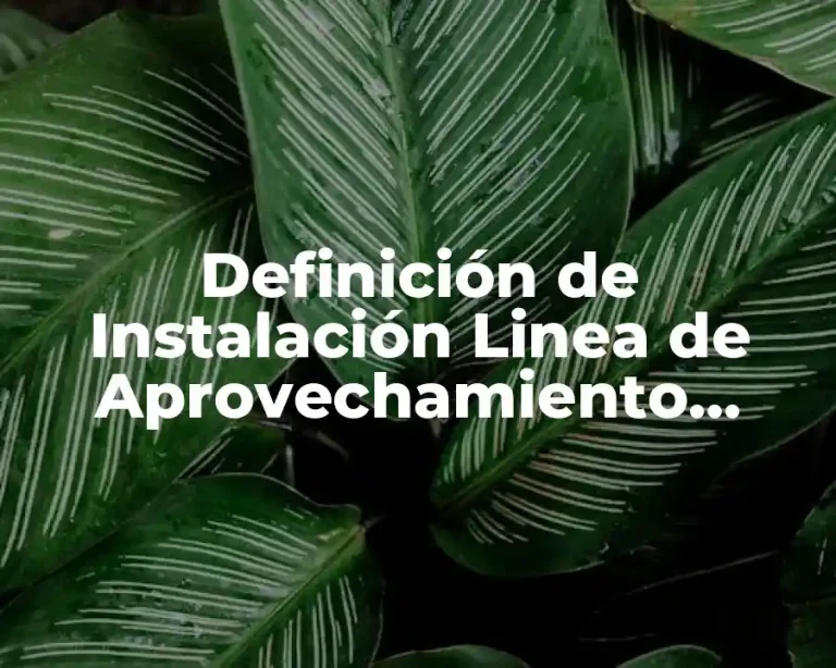 Definición de Instalación Linea de Aprovechamiento Engie