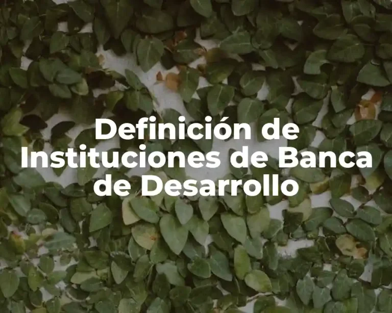 Definición de Instituciones de Banca de Desarrollo