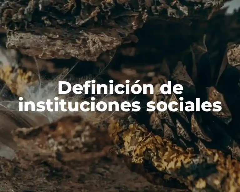Definición de instituciones sociales