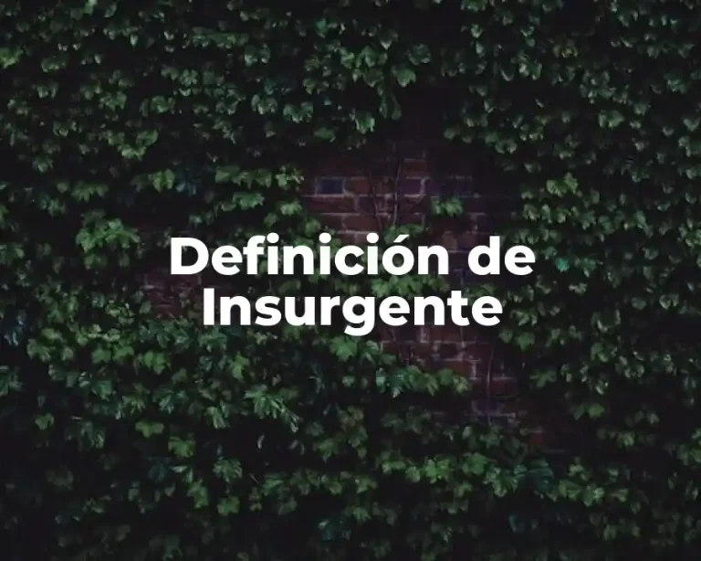 Definición de Insurgente