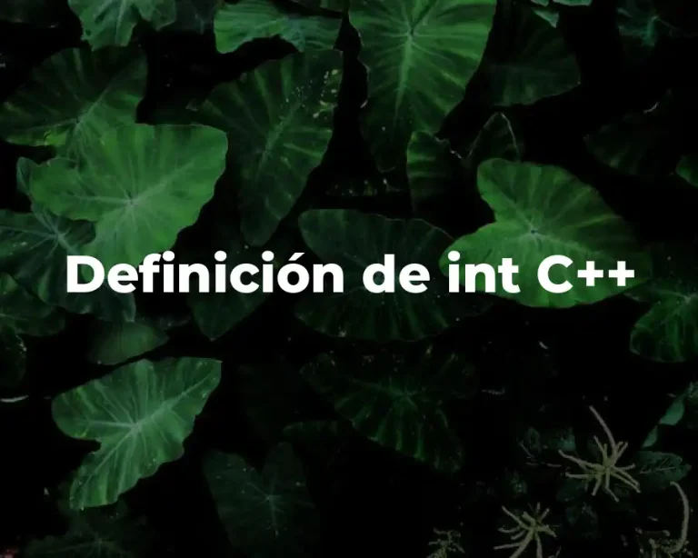 Definición de int C++