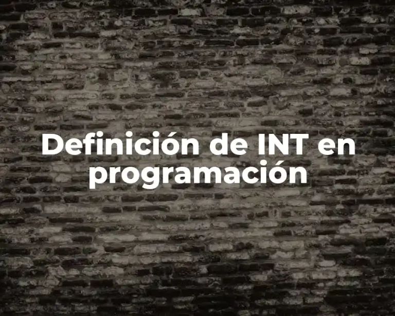 Definición de INT en programación