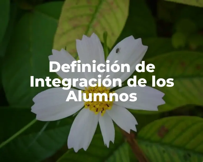 Definición de Integración de los Alumnos