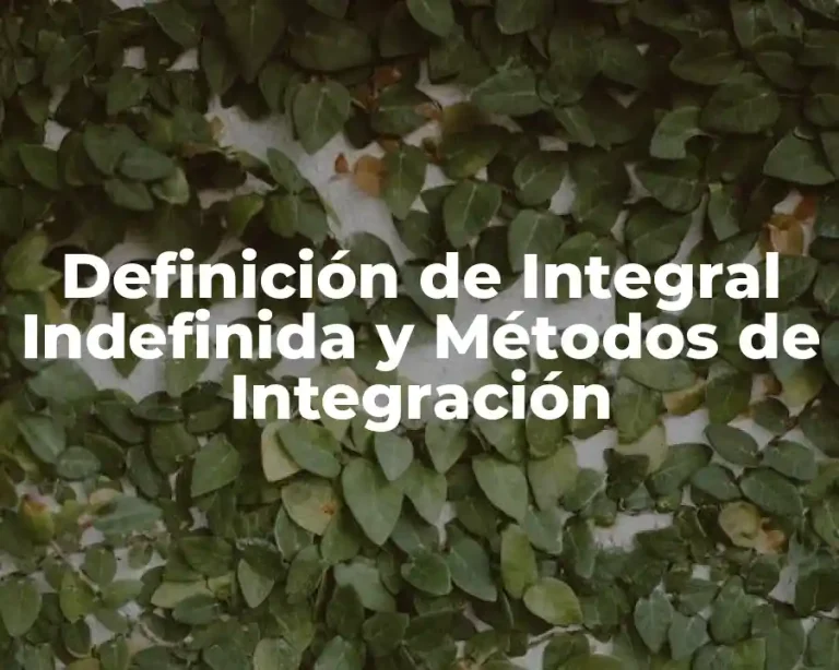 Definición de Integral Indefinida y Métodos de Integración