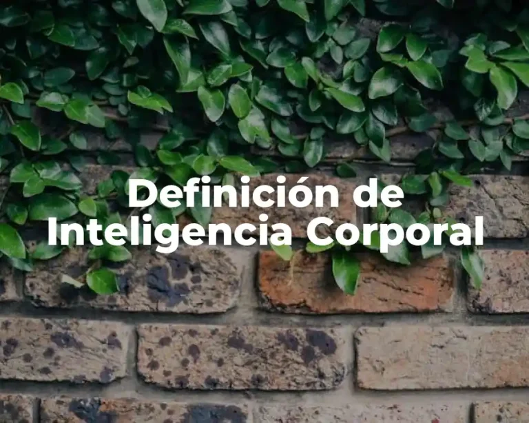 Definición de Inteligencia Corporal