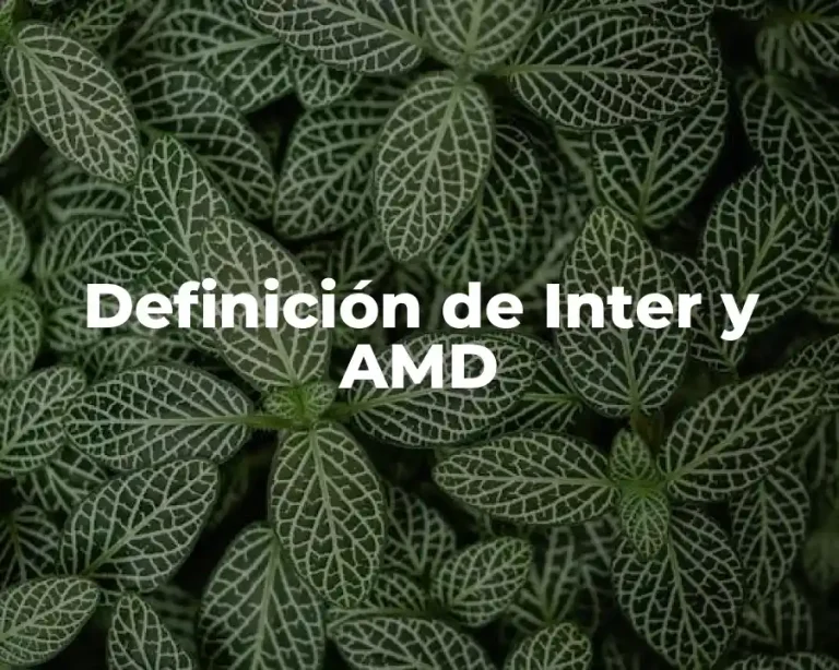Definición de Inter y AMD