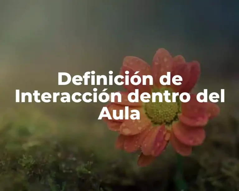 Definición de Interacción dentro del Aula