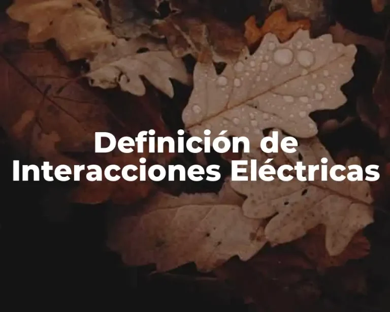 Definición de Interacciones Eléctricas