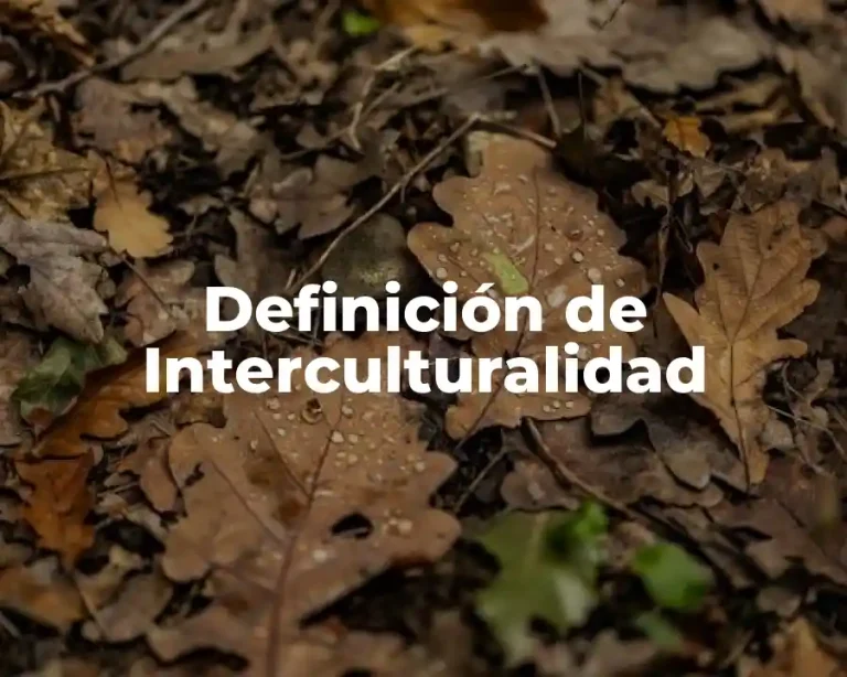 Definición de Interculturalidad