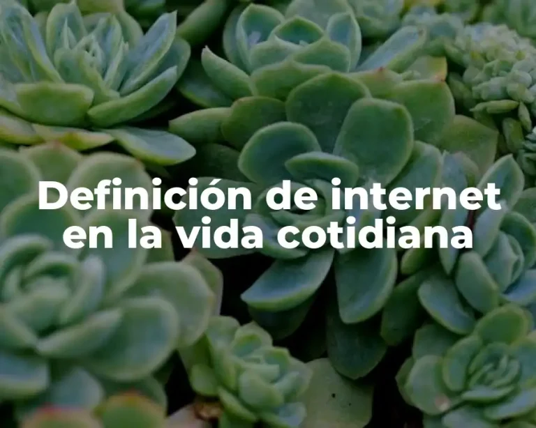 Definición de internet en la vida cotidiana