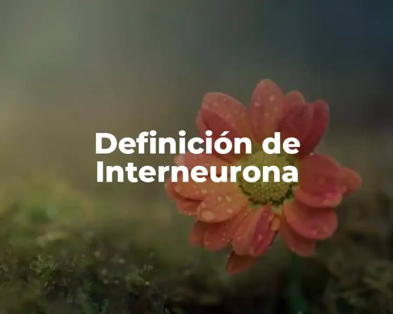 Definición de Interneurona