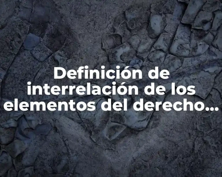 Definición de interrelación de los elementos del derecho corporativo