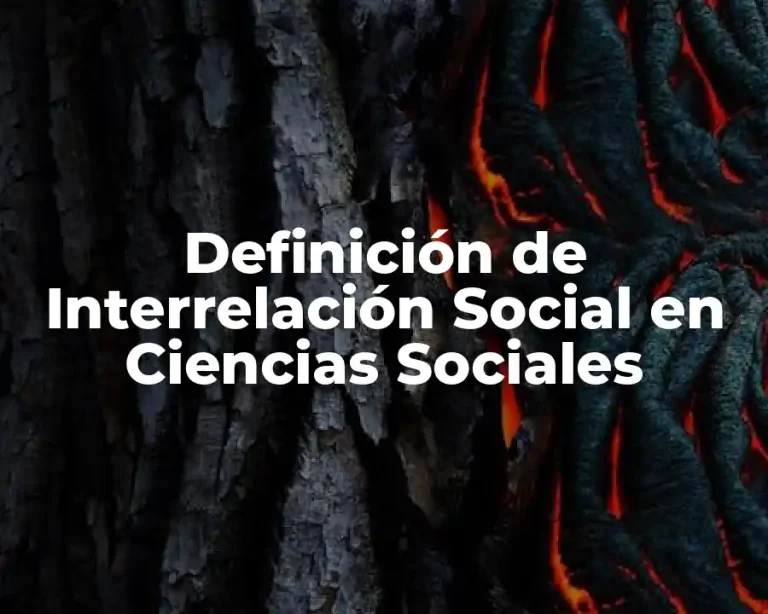 Definición de Interrelación Social en Ciencias Sociales