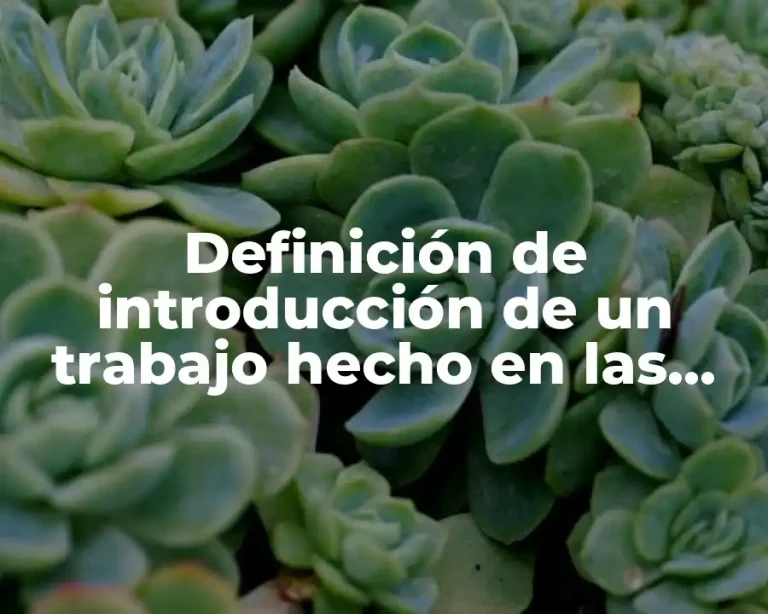 Definición de introducción de un trabajo hecho en las plantas