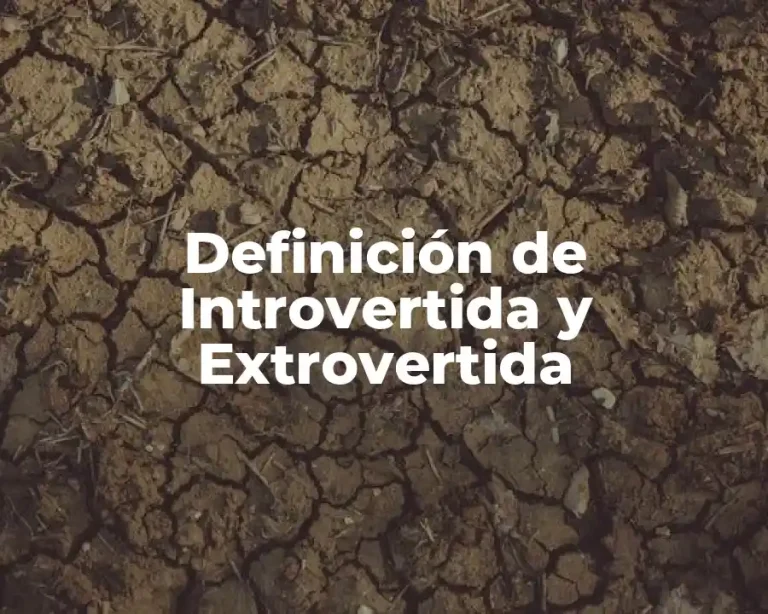 Definición de Introvertida y Extrovertida