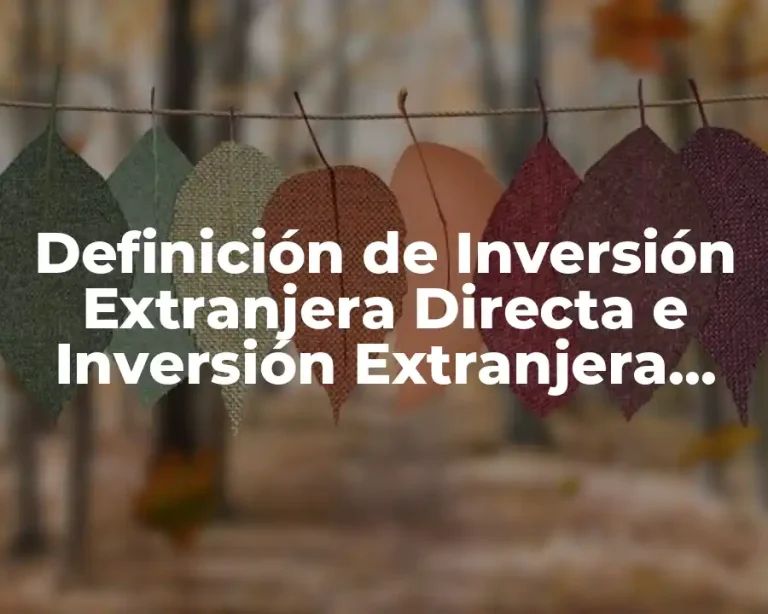 Definición de Inversión Extranjera Directa e Inversión Extranjera Indirecta