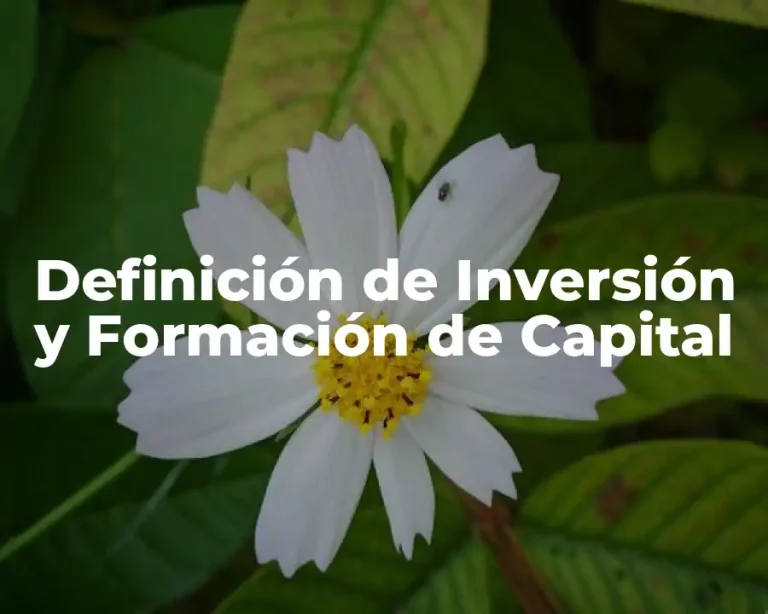 Definición de Inversión y Formación de Capital