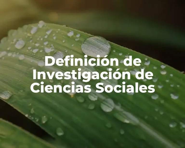 Definición de Investigación de Ciencias Sociales
