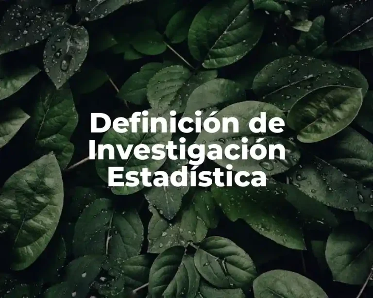 Definición de Investigación Estadística