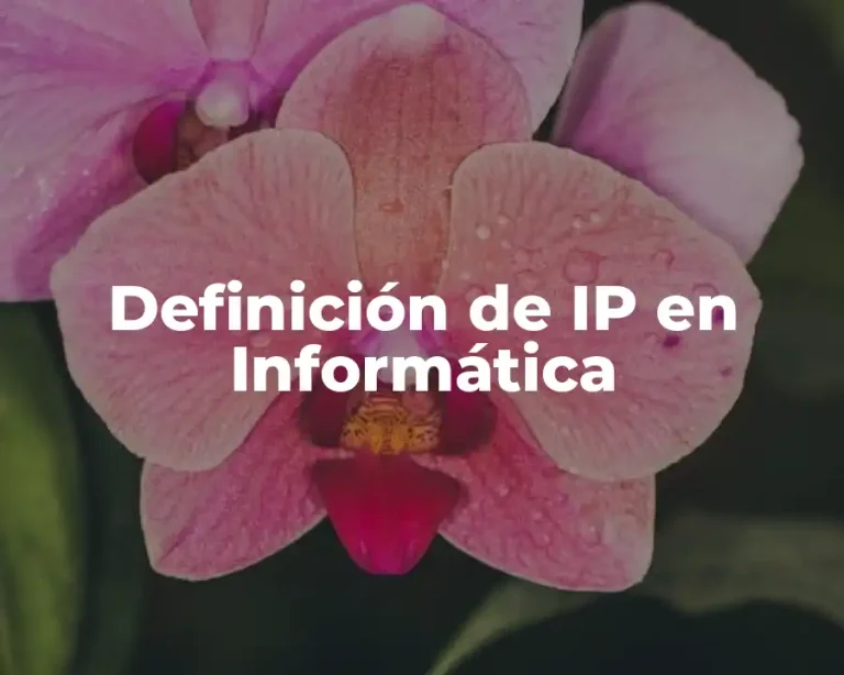Definición de IP en Informática