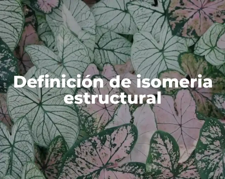 Definición de isomeria estructural