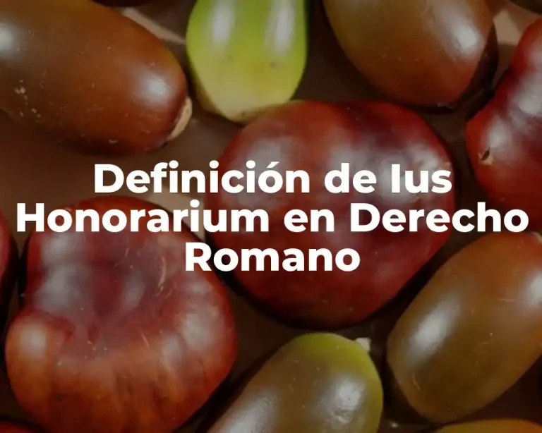 Definición de Ius Honorarium en Derecho Romano