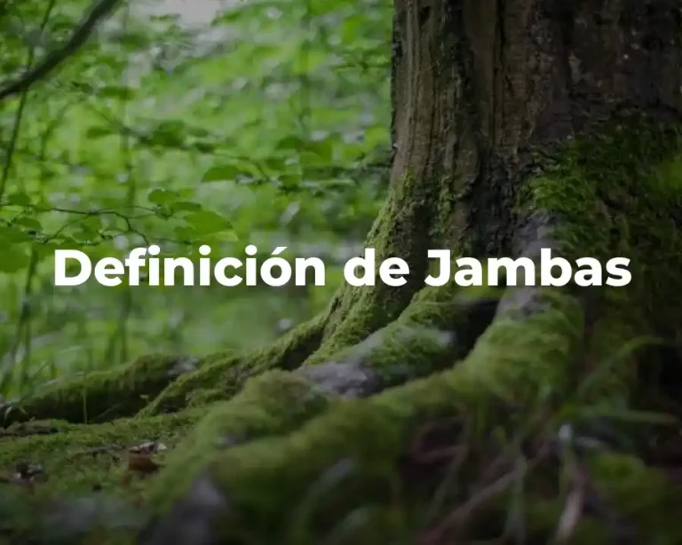 Definición de Jambas
