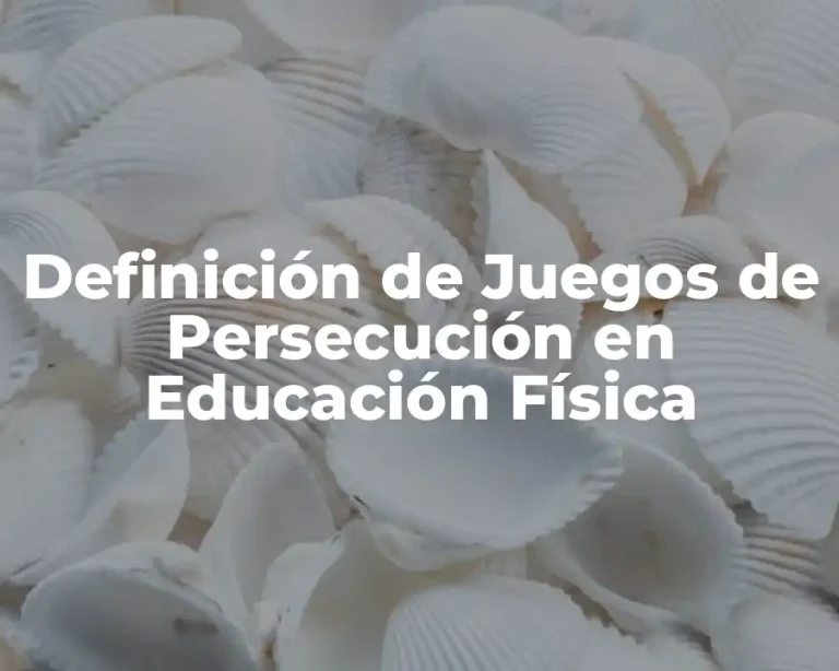 Definición de Juegos de Persecución en Educación Física