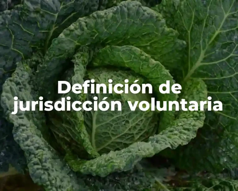 Definición de jurisdicción voluntaria