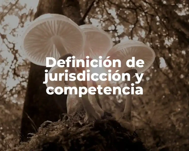 Definición de jurisdicción y competencia