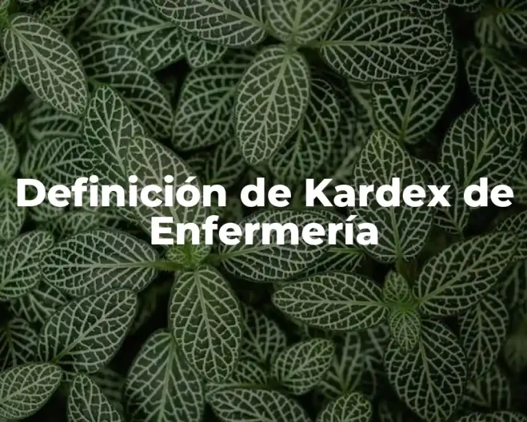 Definición de Kardex de Enfermería