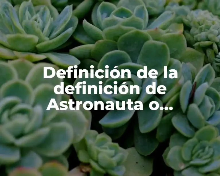 Definición de la definición de Astronauta o Cosmonauta
