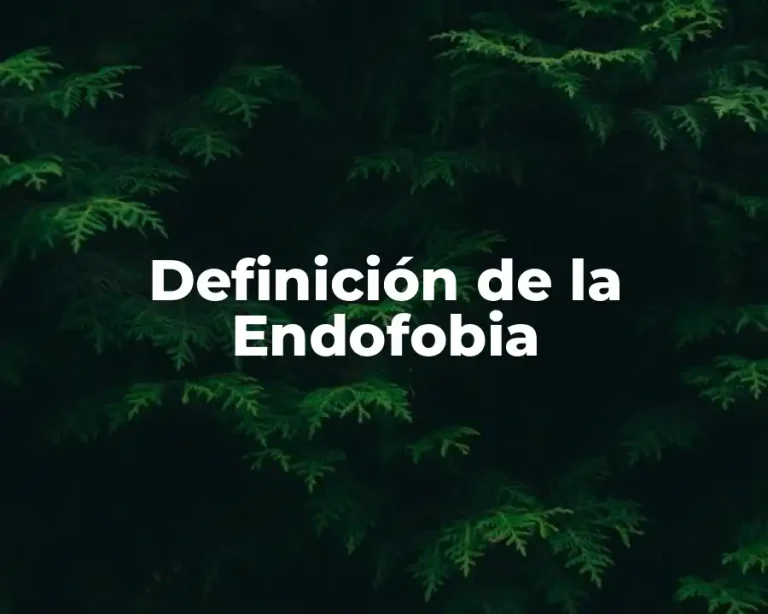 Definición de la Endofobia