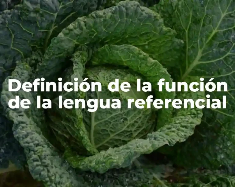 Definición de la función de la lengua referencial
