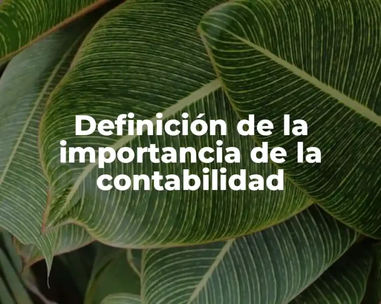 Definición de la importancia de la contabilidad