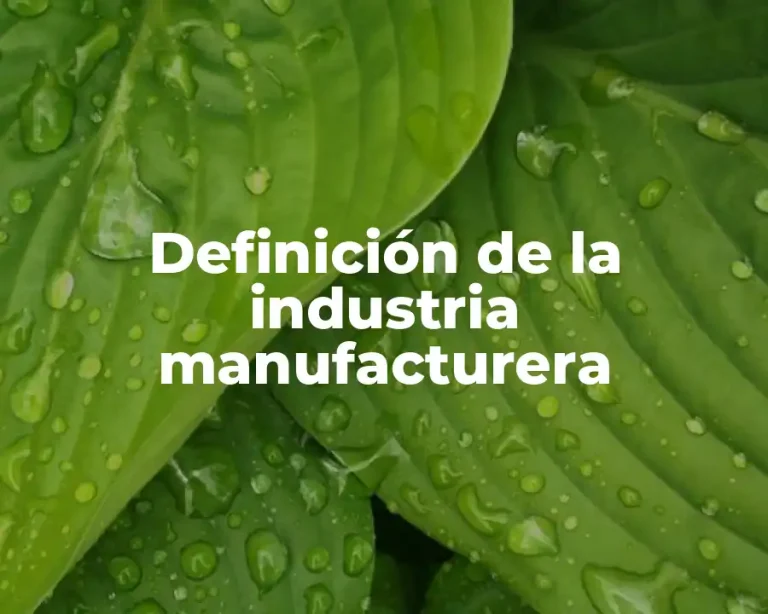 Definición de la industria manufacturera