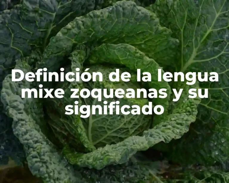 Definición de la lengua mixe zoqueanas y su significado