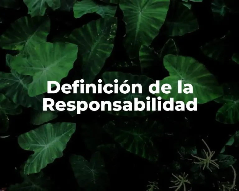 Definición de la Responsabilidad