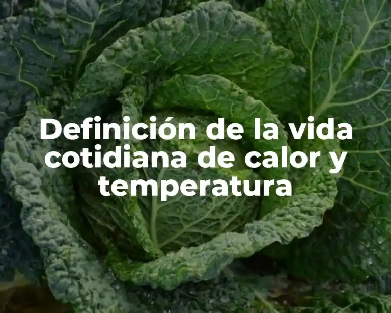 Definición de la vida cotidiana de calor y temperatura