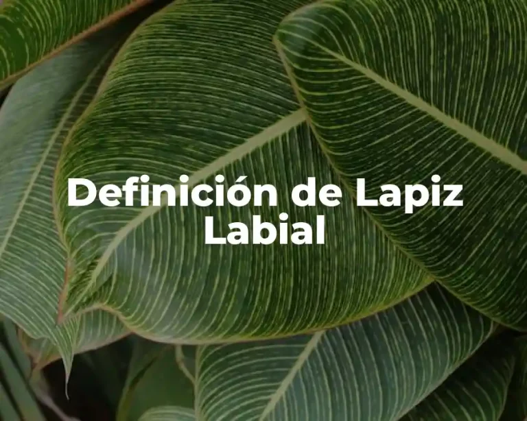 Definición de Lapiz Labial