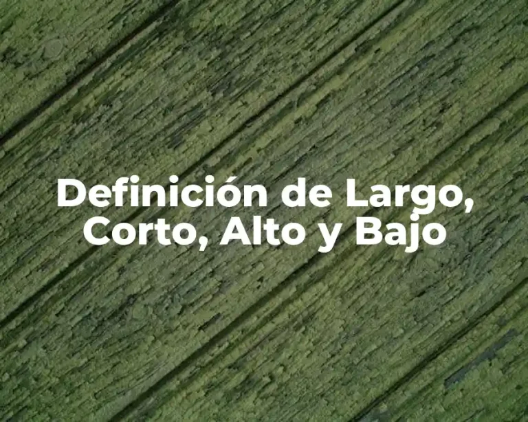 Definición de Largo, Corto, Alto y Bajo