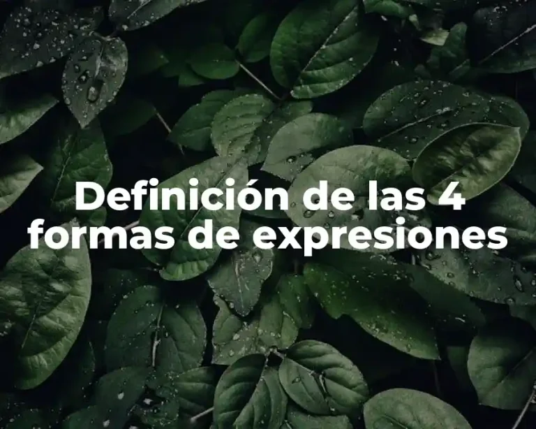 Definición de las 4 formas de expresiones