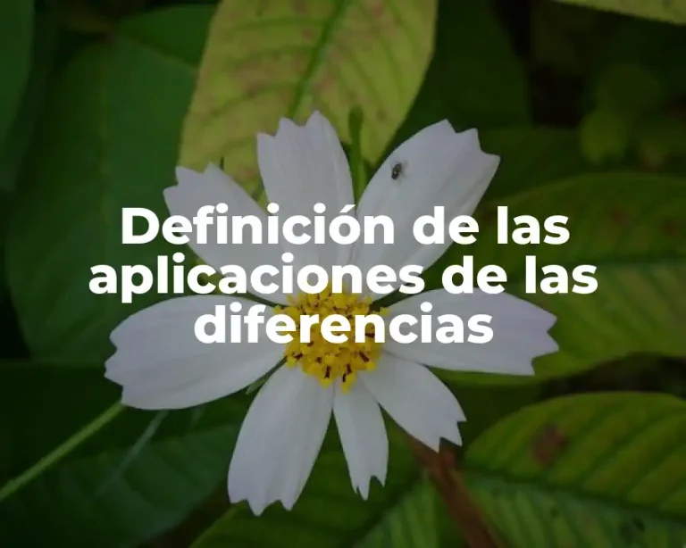 Definición de las aplicaciones de las diferencias